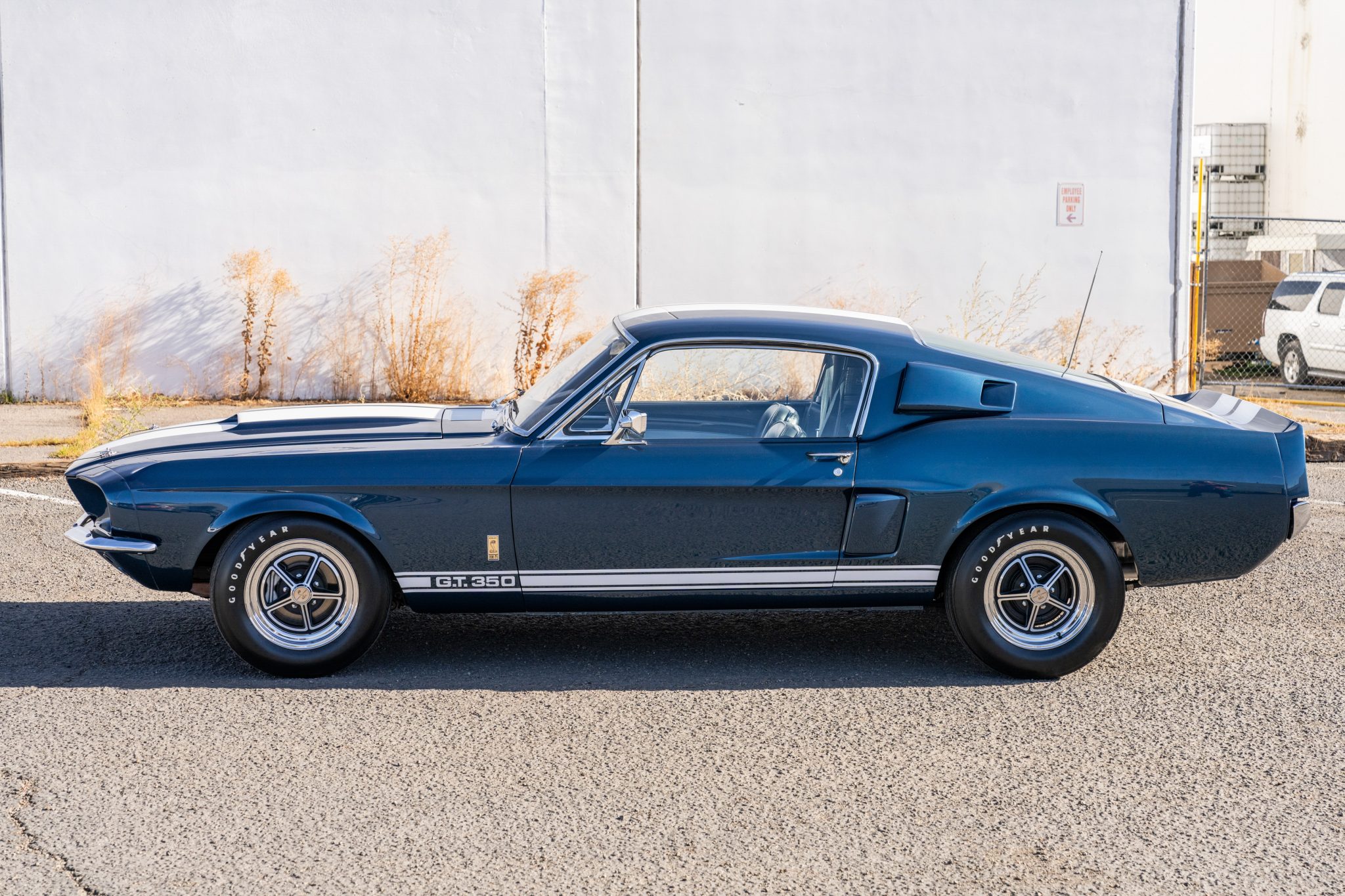 Shelby Mustang GT350